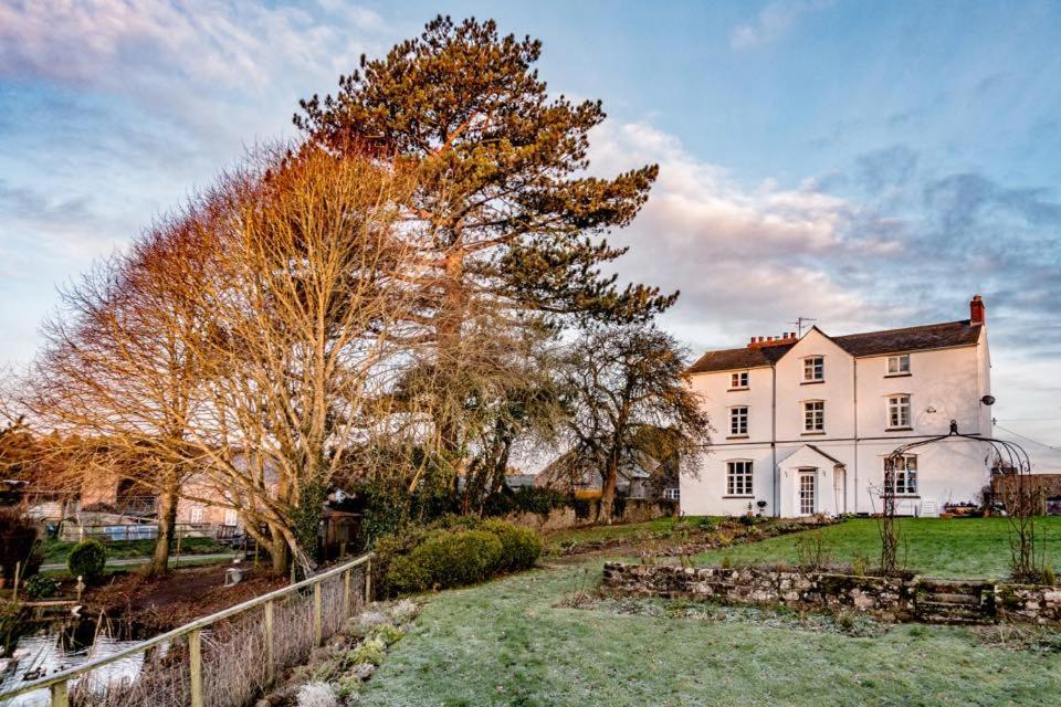 Art House B & B Raglan Exteriör bild