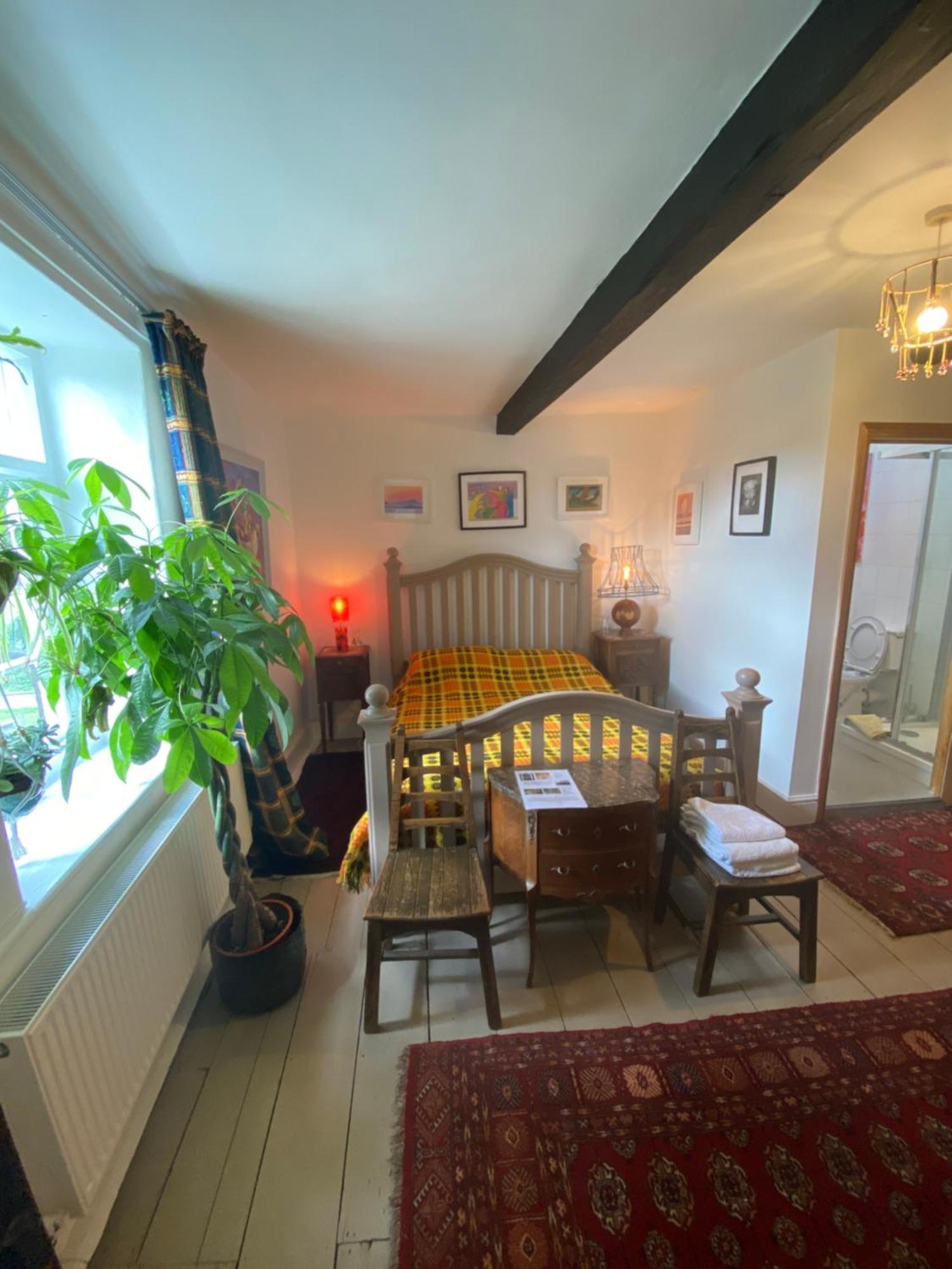 Art House B & B Raglan Rum bild